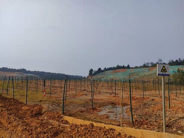 澧縣土地資源,澧縣公共基礎設施,澧縣工商業信息咨詢,澧縣澧州實業發展有限公司